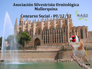 Concurso Social Mallorca 09-12-12 - UASO.es
