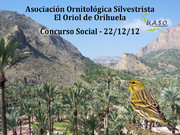 Concurso Social Orihuela 22-12-12 - UASO.es