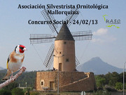 Concurso Social Mallorca 24-02-13 - UASO.es