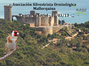 Concurso Social Mallorca 10-03-13 - UASO.es