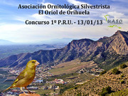 Concurso 1º P.R.U. Orihuela 13-01-13 - UASO.es
