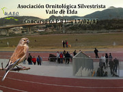 Concurso 6º P.R.U. Valle de Elda 17-02-13 - UASO.es