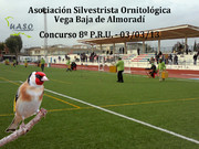 Concurso 8º P.R.U. Almoradí 03-03-13 - UASO.es