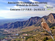Concurso 11º P.R.U. Orihuela 24-03-13 - UASO.es
