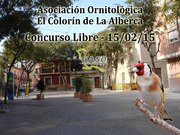 Concurso Libre La Alberca 15-02-15 - UASO.es