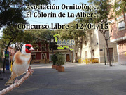 Concurso Libre La Alberca 12-04-15 - UASO.es