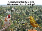 03-12-17 Social Baix Vinalopó - UASO.es