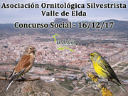 16-12-17 Social Valle de Elda - UASO.es