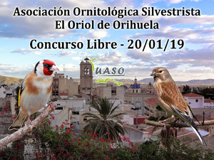 20-01-19 Libre Orihuela - UASO.es