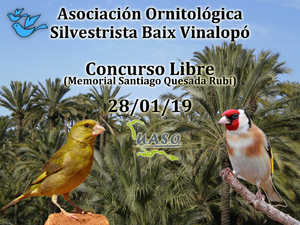 28-01-19 Libre Baix Vinalopó - UASO.es