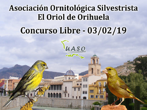 03-02-19 Libre Orihuela - UASO.es