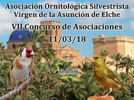 VII Concurso Asociaciones UASO - Asunción Elche - UASO.es