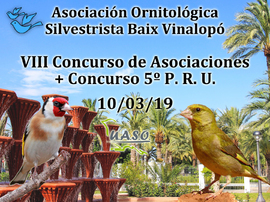 VIII Concurso Asociaciones UASO - Baix Vinalopó - UASO.es