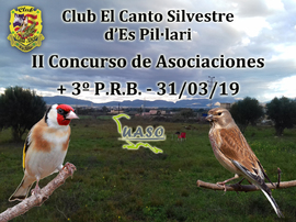 II Concurso Asociaciones UASO - Es Pil·larí - UASO.es