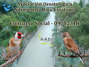 09-12-18 Social Baix Vinalopó - UASO.es
