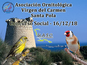 16-12-18 Social Santa Pola - UASO.es