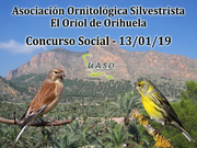 13-01-19 Social Orihuela - UASO.es