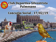 17-02-19 Social Palmesano - UASO.es