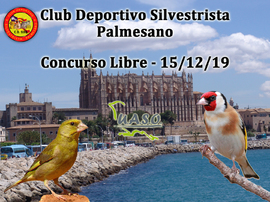 15-12-19 Libre Palmesano - UASO.es
