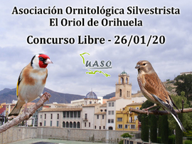 26-01-20 Libre Orihuela - UASO.es