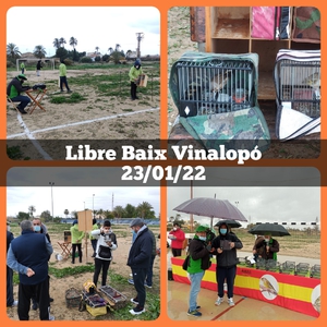 23-01-22 Libre Baix Vinalopó - UASO.es