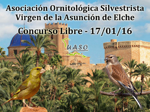 Concurso libre Asunción Elche 17-01-16 - UASO.es