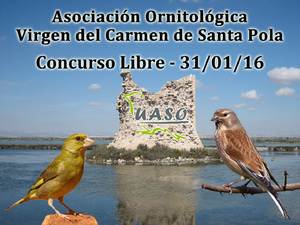 Concurso libre Santa Pola 31-01-16 - UASO.es