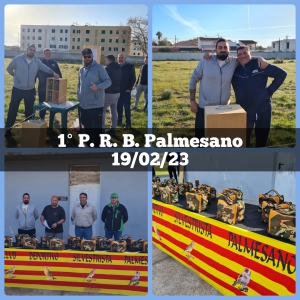 19-02-23 1PRB Palmesano - UASO.es