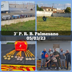 05-03-23 3PRB Palmesano - UASO.es