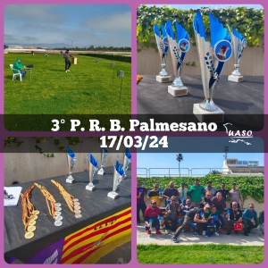 17-03-24 3PRB Palmesano - UASO.es