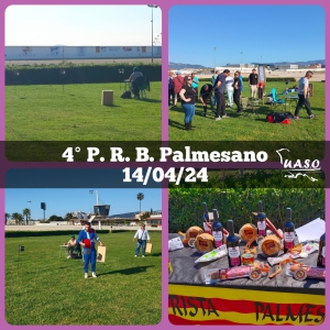 14-04-24 4PRB Palmesano - UASO.es